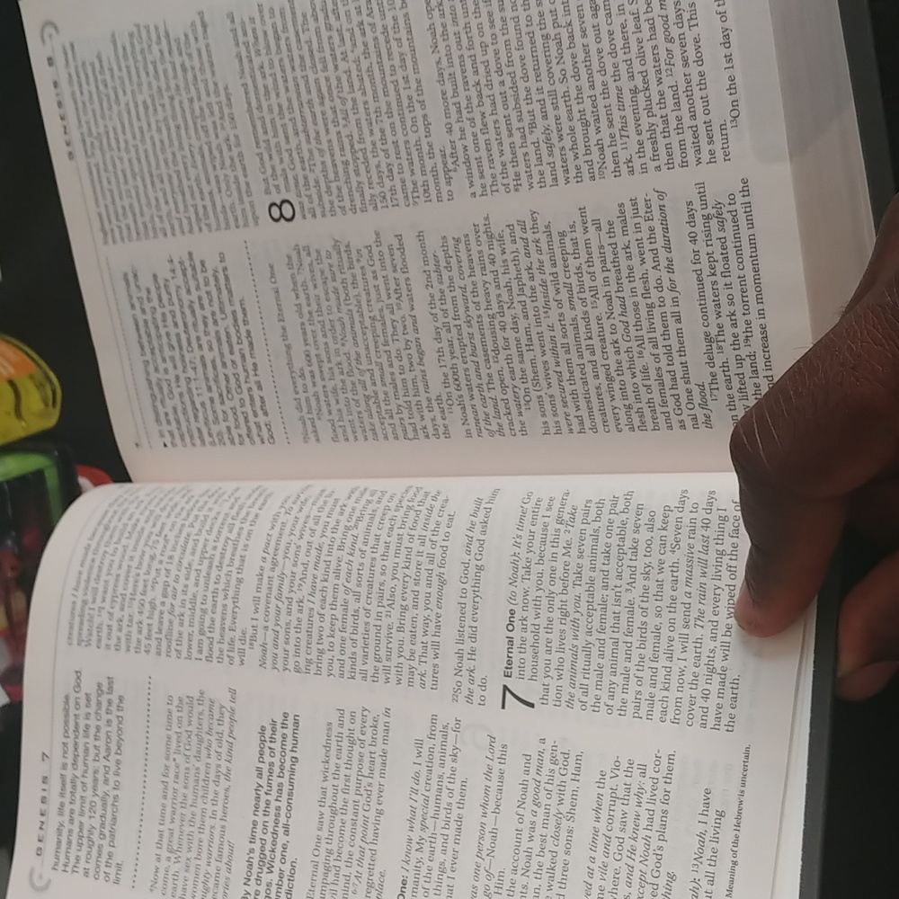 The Voice Compass Study Bible - Gray - Picture 8 of 15